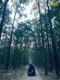jim corbett national park